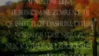 Besim Elshani - Jusuf Gervalla 2
