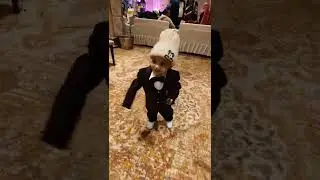 Mohd Ahnaf little boy enjoying wedding party