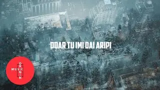 Profides - Doar Tu imi dai aripi