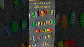 Իշխանասպան պրիմանկեք։)