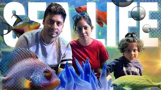 13,481 SEA CREATURES Under One Roof | Indian Mom in Australia| Parents travelling Abroad EP-5