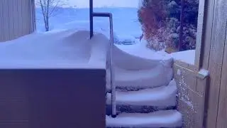 Snow Day, Feb 2024, Flagstaff AZ