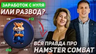 ВСЯ ПРАВДА ПРО HAMSTER COMBAT.  Заработок с НУЛЯ или развод?
