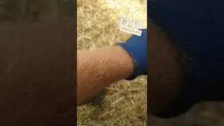 на работе не жарко❕🥵🥵