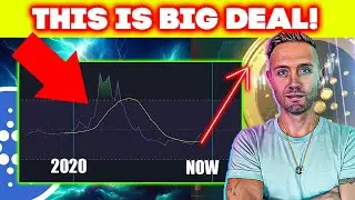CARDANO MEGA BULL MARKET LAUNCHPAD SET!
