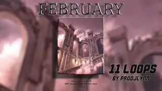 (+11) FREE Loop Kit “FEBRUARY” [Rod Wave, Rylo Rodriguez, NBA YoungBoy, Lil Baby] [SAMPLES]