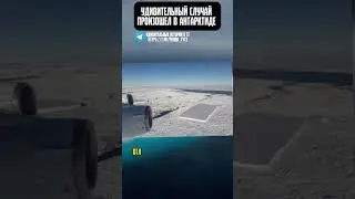 История про Антарктиду 😳 