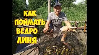 Как поймать ведро ЛИНЯ