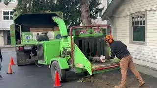 2024 Tree Removal by Better View Tree Service.