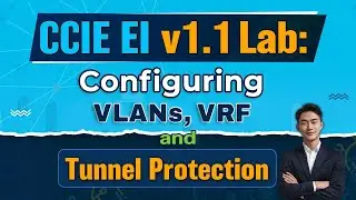 CCIE EI v1.1 Lab Essentials Every Networking ENTHUSIAST Needs to Know
