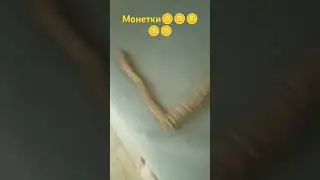 я сложил монетки