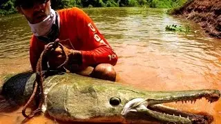 DINOSAURS STILL LIVE IN THE HEART OF TEXAS 8 FOOT PREHISTORIC FISH