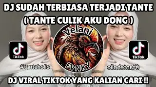 DJ SUDAH TERBIASA TANTE REMIX | DJ TANTE CULIK AKU DONG TREND TANTE HOLIC VIRAL TIKTOK 2025 TERBARU