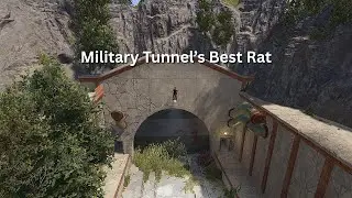 Best Mil Tuns Rat NA