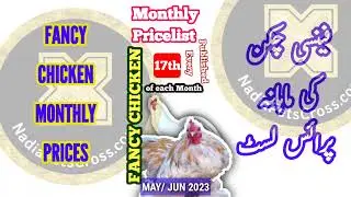 Fancy Chicken Pricelist JUNE 2023 | Monthly Prices of Fancy Chicken Breeds | Bird Market Update