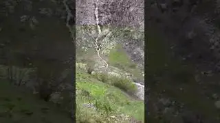 Вот это природа мне нравится. #nature #shortsvideo #travel #tajikistantravel #горы #юмор