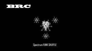 BRC Spectrum FUNK SHUFFLE nocopyrightsounds