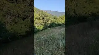 Josanica