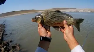 Carp fishing with pole rod 2022