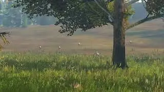 Dayz слепые псы