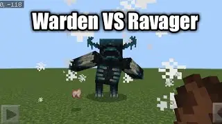 Warden VS Ravager
