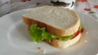РЕАКЦИЯ НА котенка