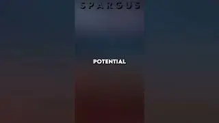 2099 Spider-Man vs Full Potential Miles (40 Subs Special)