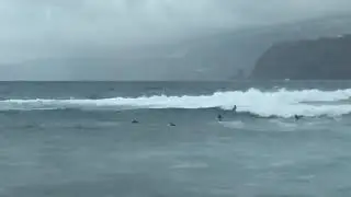 Люди моря. Puerto de la Cruz 4.11.2020