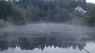 Жабы спяваюць.Рыбалка.Лета 2006. Frog singing.