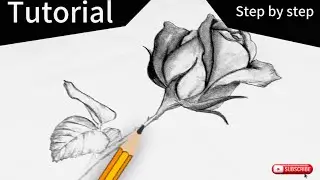How to draw a rose 🌹 |easy flower drawing step by step