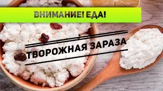 Внимание! Еда! Творожная зараза! Проверка 6 самых популярных марок творожной массы