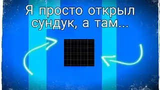 Я просто открыл сундук,а там...