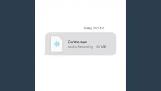 Canine