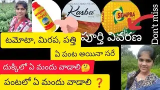 తుంగ నివారణకు మందులు ||పత్తి, మిరప, అరటి, టమోటా ఏపంట అయినా సరే ||1000తో వంద రోజులు తుంగ రాదు