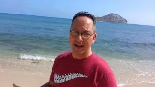 $20 Chiropractic?