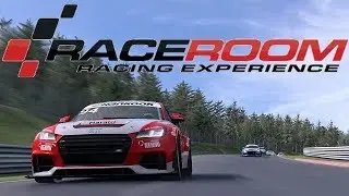 Streaming RaceRoom Racing Experience! - LIVE