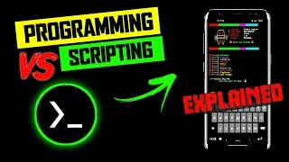 SCRIPTING Vs PROGRAMMING: The Battle for Coding Supremacy with Tagda Coder 🚀