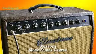 Bluetone Black Prince Reverb (2021 Version) –– Kitarablogi.com