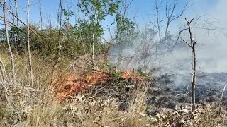 В Югре для тушения лесных пожаров задействовали дополнительные воздушные суда