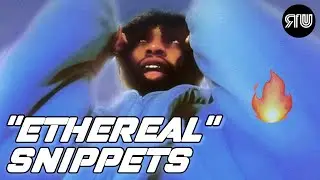 $NOT 