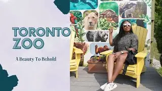 Full Tour in Canada's Largest Zoo | Toronto Zoo