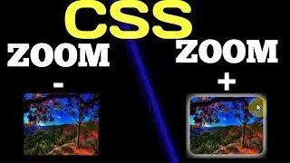 Zoom in zoom out in css | Zoom in Transform