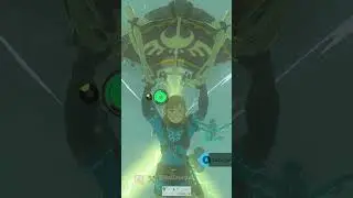 NOT TODAY #gaming #tearsofthekingdom #thelegendofzeldatearsofthekingdom #totk