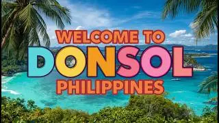 Plan Donsol in 8 Minutes  Culture, Food, sharks