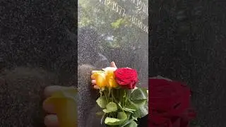 Живые цветы на Могиле ✞ Уборщик  могил ✞ Твоя Душа ✞