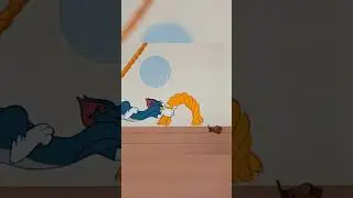 Tom yine Jerry'nin peşinde! 😂 