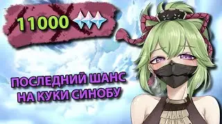 ЖЁСТКО КОПИЛ ГЕМЫ 3 НЕДЕЛИ И РАДИ ЧЕГО? | КРУТКИ КУКИ И НАХИДЫ | Genshin Impact 3.6