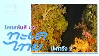 โลกสลับสี ชุด ทะเลไทย: ปะการัง ตอน 2 (2533)