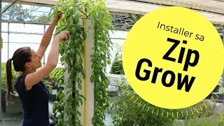 Monter sa Tour Hydroponique Verticale ZipGrow - TUTO #09  feat. ReFarmers