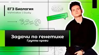 ЕГЭ Биология | ЗАДАЧА ПО ГЕНЕТИКЕ. Группы крови